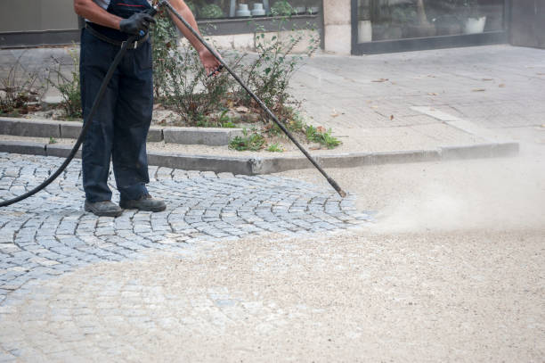 Best Animal Enclosure Cleaning  in Waller, TX