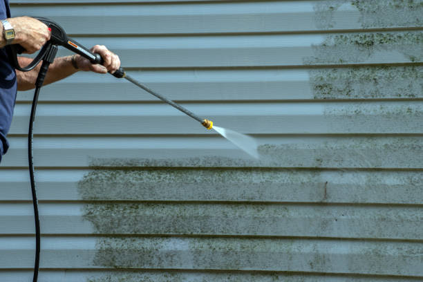 Animal Enclosure Cleaning in Waller, TX